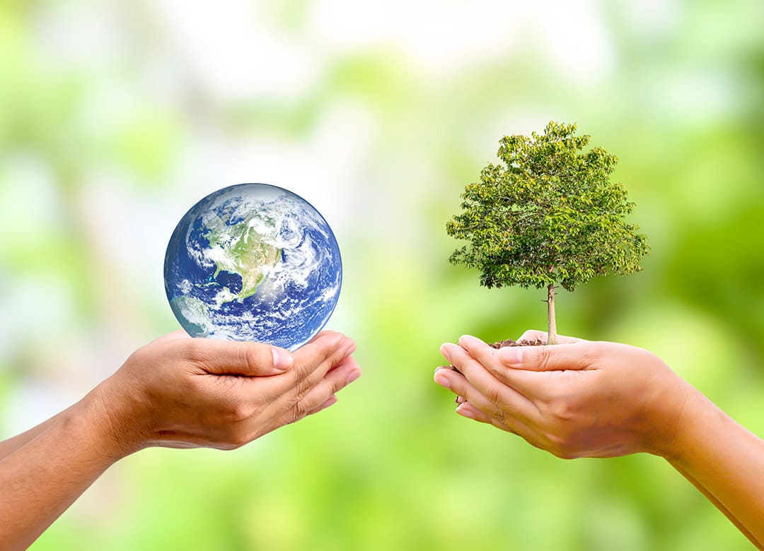 サステナビリティ